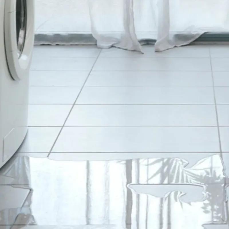 Appliance Leak Cleanup in Prairie du Sac, WI