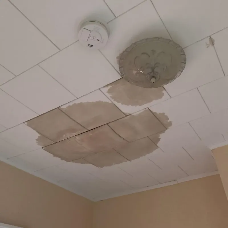 Ceiling Water Damage Repair in Prairie du Sac, WI
