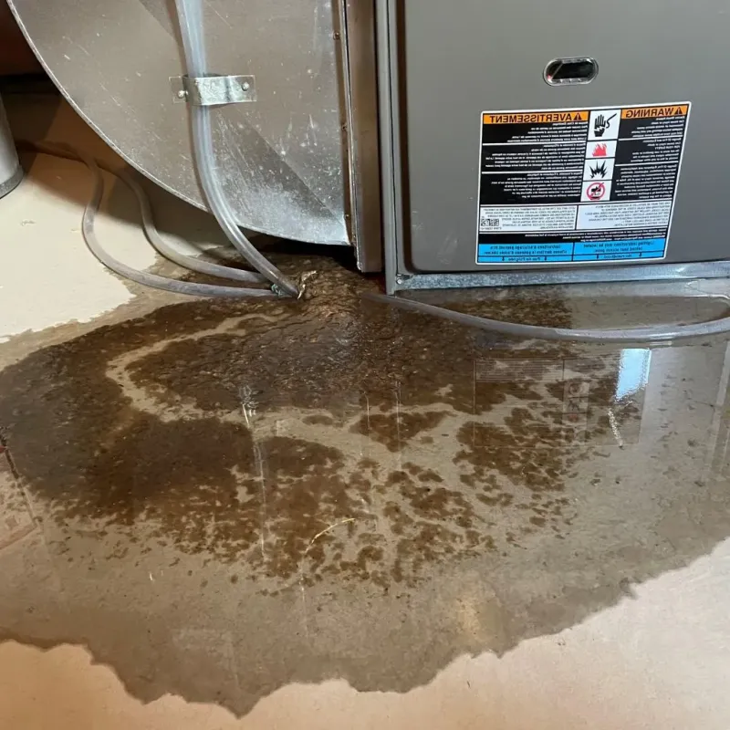 Pipe Burst and Leak Restoration in Prairie du Sac, WI